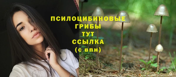 винт Заволжск