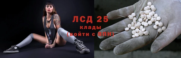 молекула духа Гвардейск