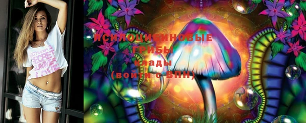 дмт Заволжье