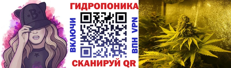 где можно купить Игарка Каннабис ГИДРОПОН